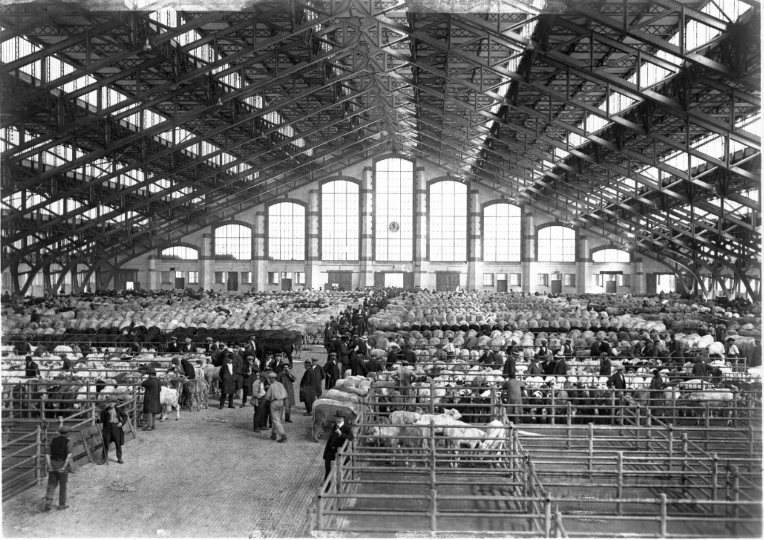 Slaughterhouse and Stockyard